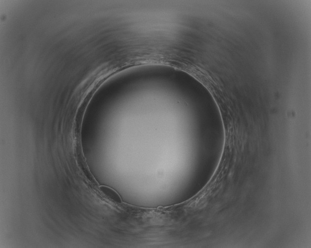 X0000074240290200608251145