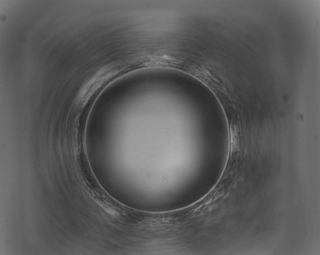 X0000074240291200608251145