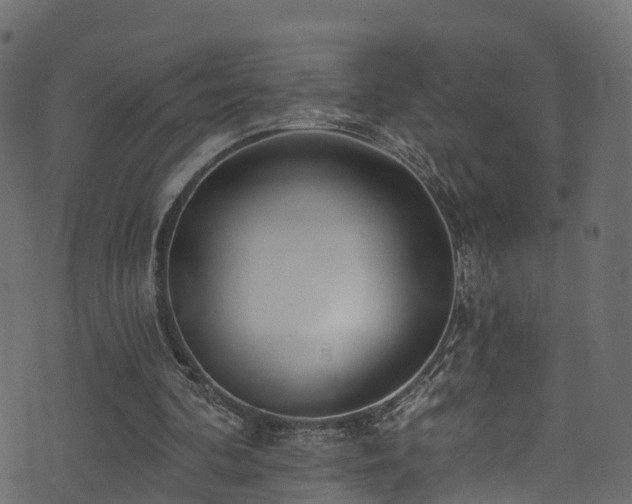 X0000074240292200608251145