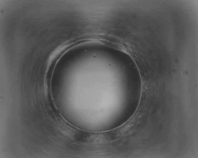 X0000074240294200608251145