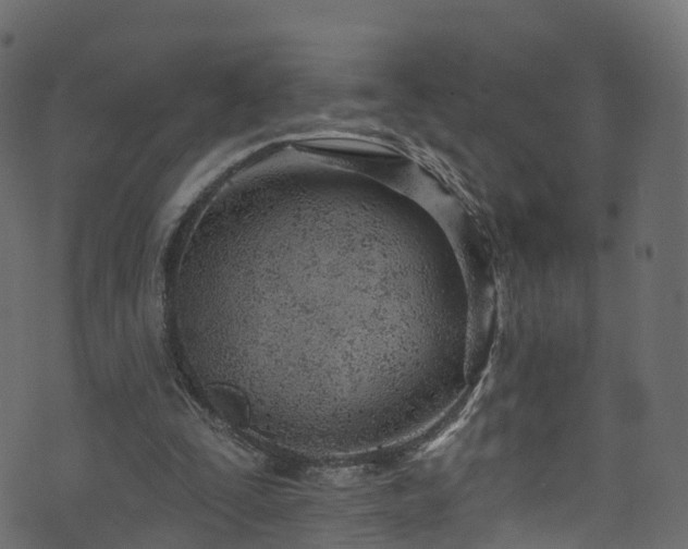 X0000074240295200608251145