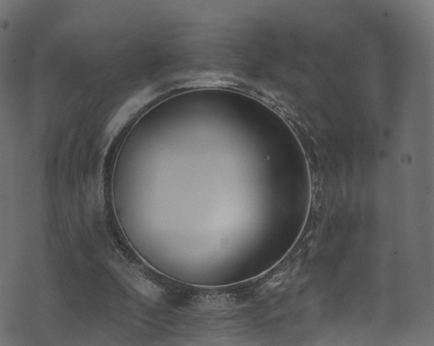 X0000074240296200608251145