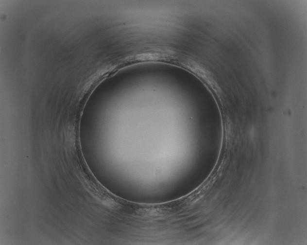 X0000074240297200608251145