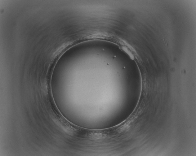 X0000074240298200608251145