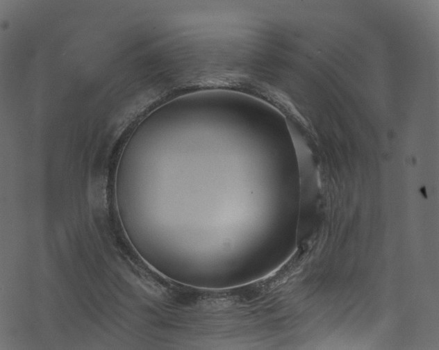 X0000074240299200608251145