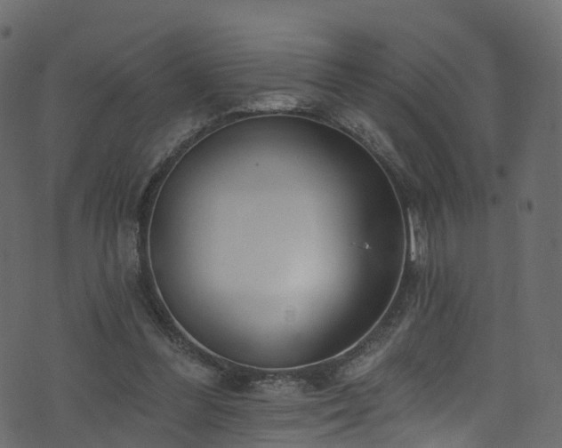 X0000074240300200608251145