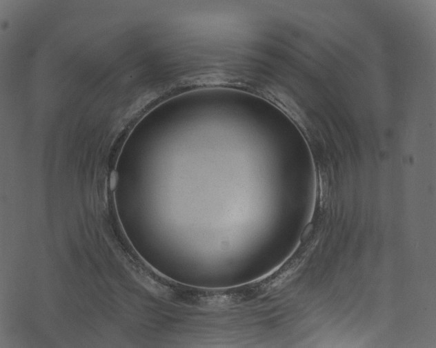 X0000074240301200608251145