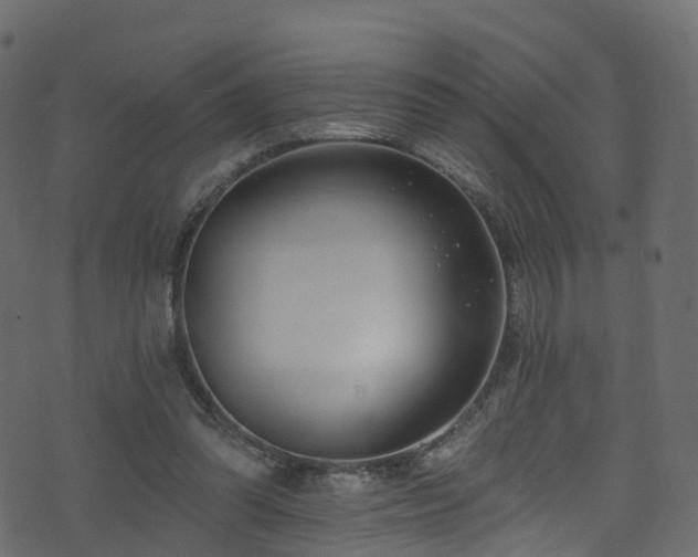 X0000074240302200608251145