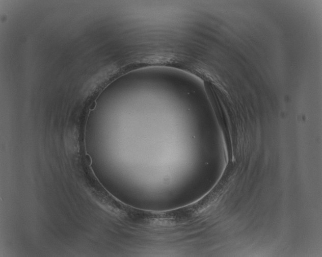 X0000074240303200608251145