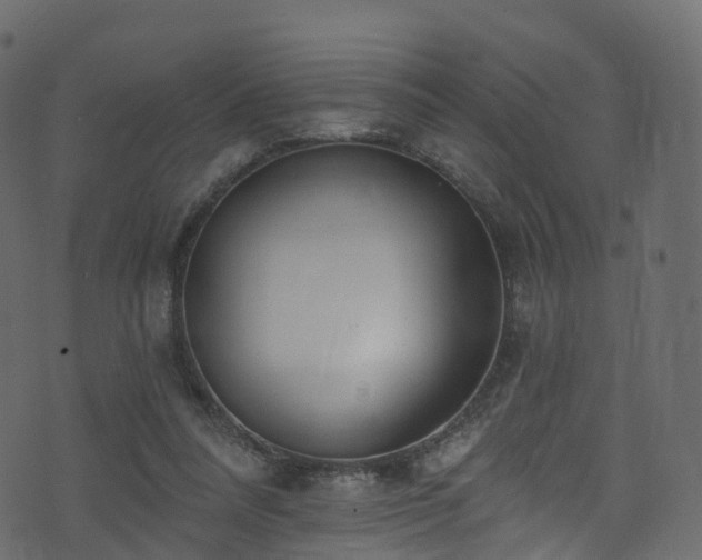 X0000074240304200608251145