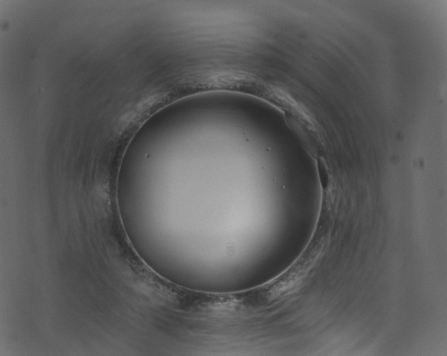 X0000074240306200608251145