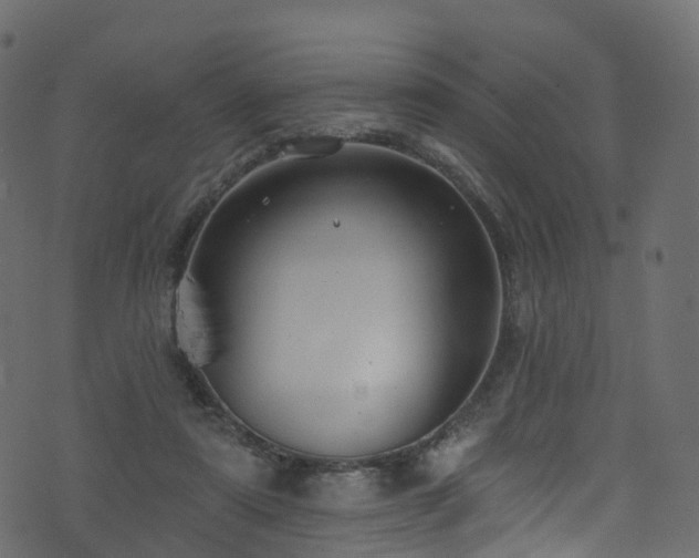 X0000074240307200608251145