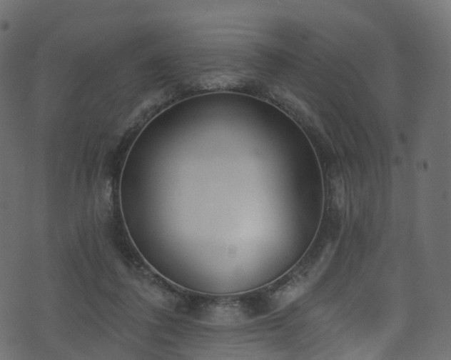 X0000074240308200608251145