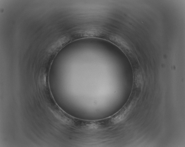 X0000074240310200608251145