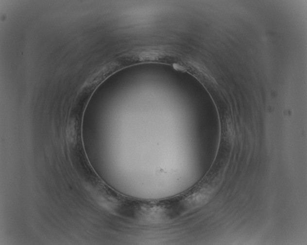 X0000074240311200608251145