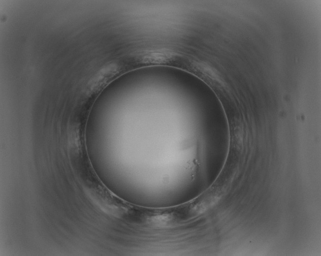 X0000074240312200608251145