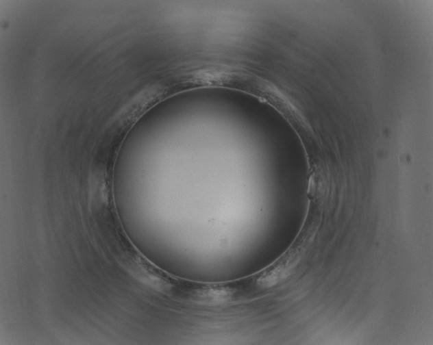 X0000074240313200608251145