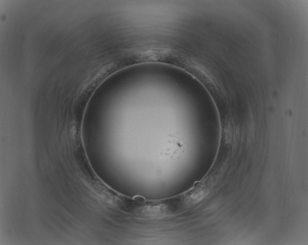 X0000074240314200608251145