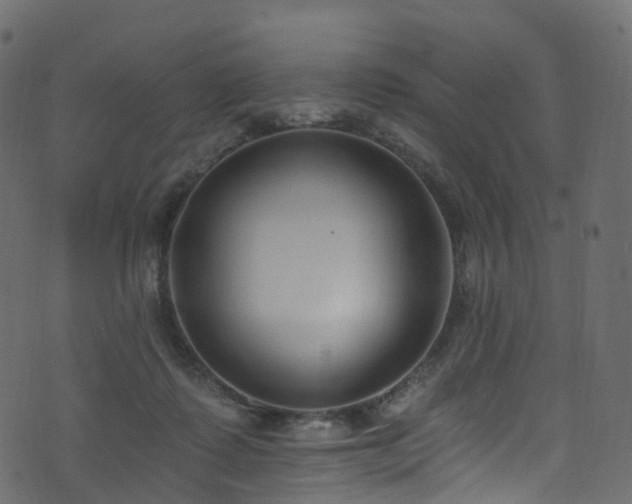 X0000074240315200608251145