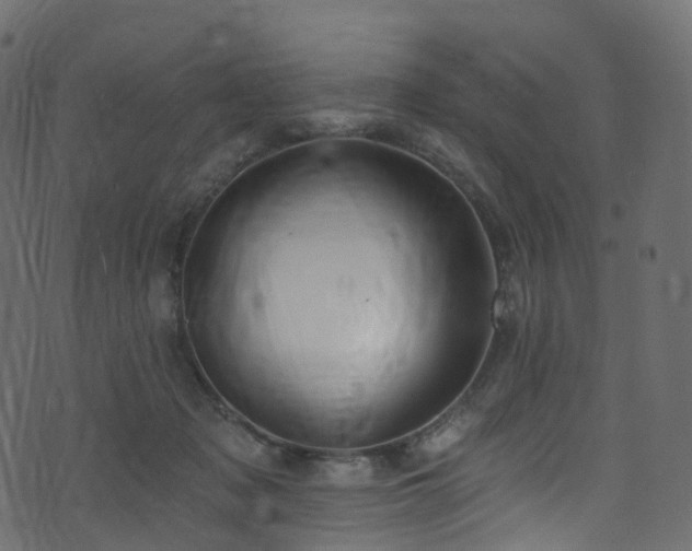 X0000074240317200608251145