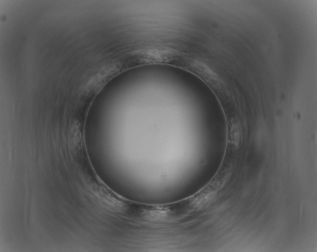 X0000074240318200608251145