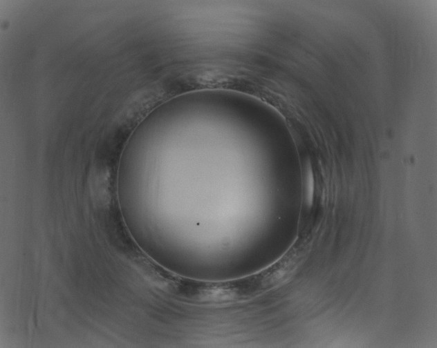 X0000074240319200608251145