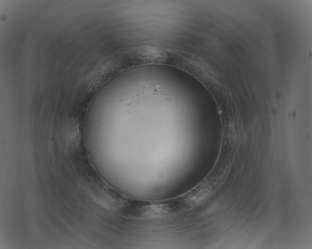 X0000074240320200608251145