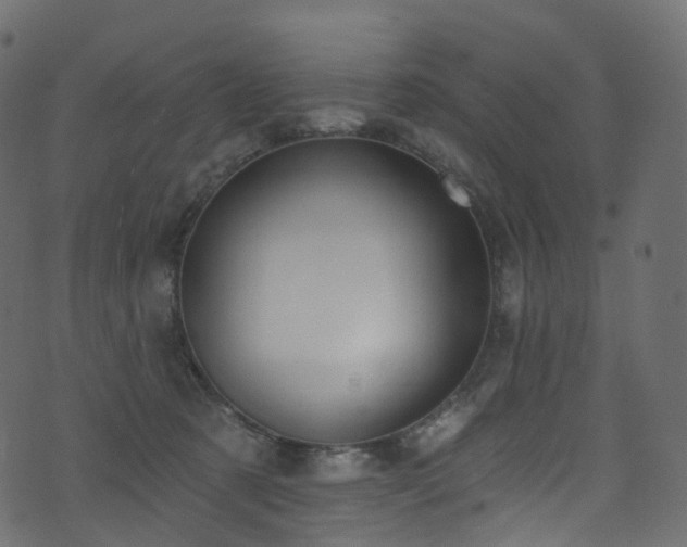 X0000074240321200608251145