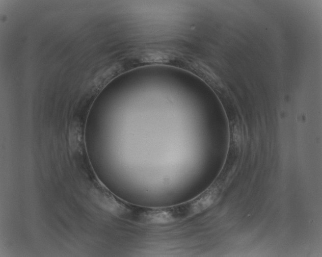 X0000074240322200608251145