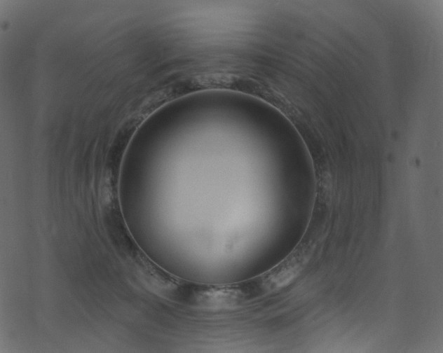 X0000074240323200608251145