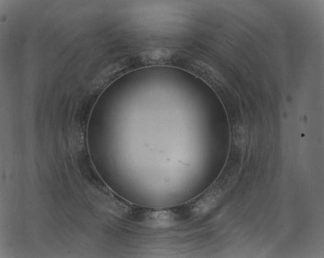 X0000074240324200608251145