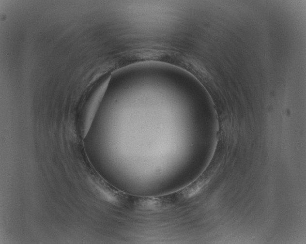 X0000074240325200608251145