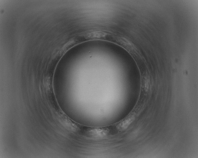 X0000074240326200608251145