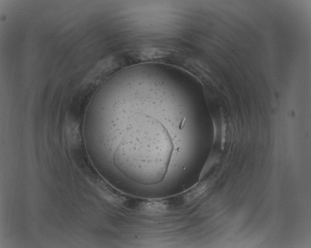 X0000074240327200608251145