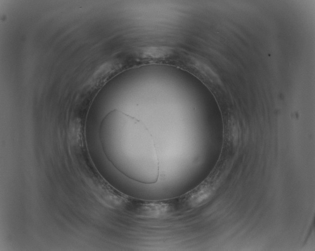 X0000074240328200608251145