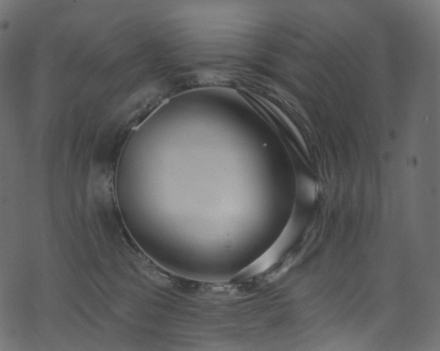 X0000074240329200608251145