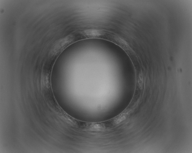 X0000074240330200608251145