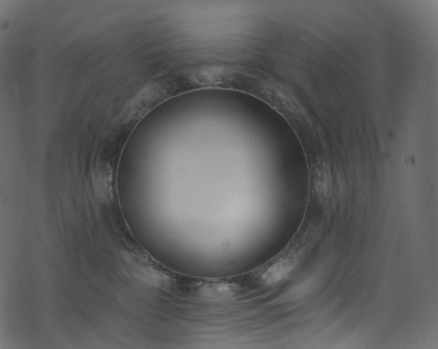 X0000074240332200608251145