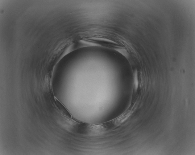 X0000074240333200608251145