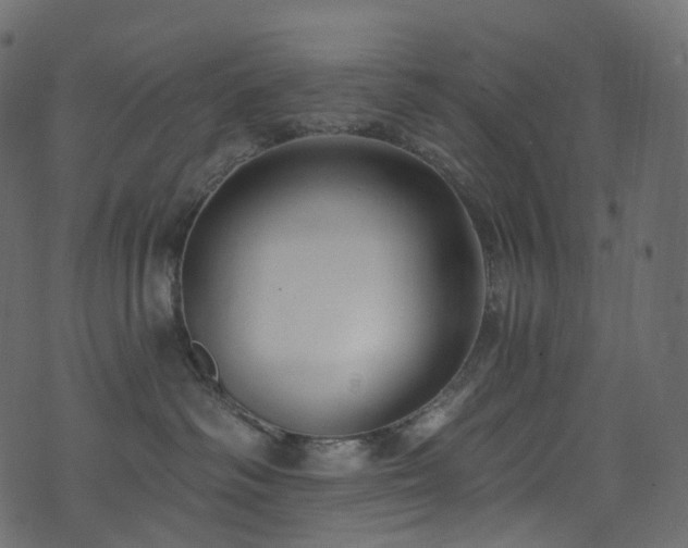 X0000074240334200608251145