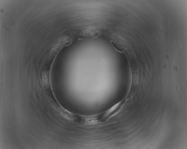 X0000074240335200608251145