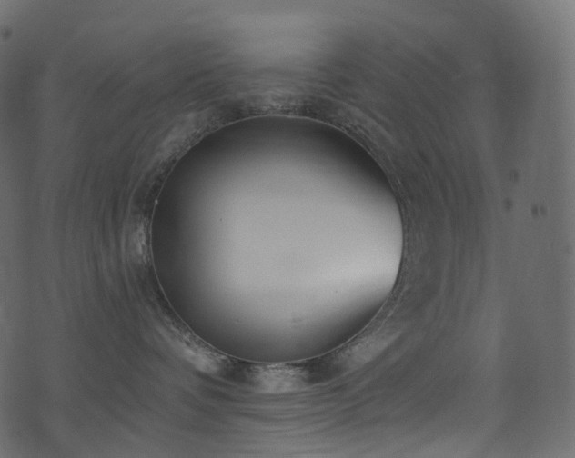 X0000074240336200608251145