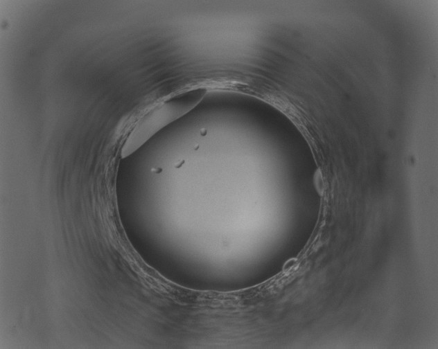 X0000074240337200608251144