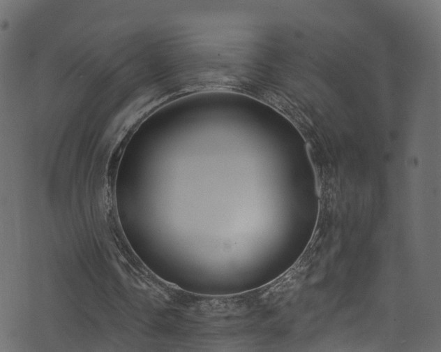 X0000074240338200608251144