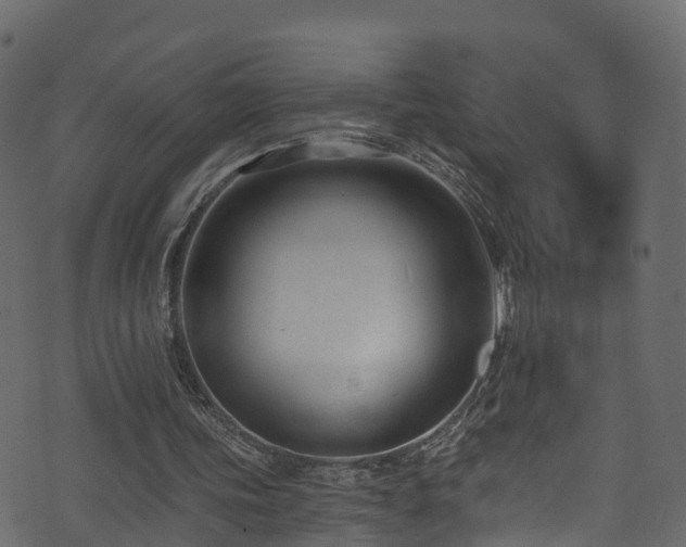 X0000074240339200608251144