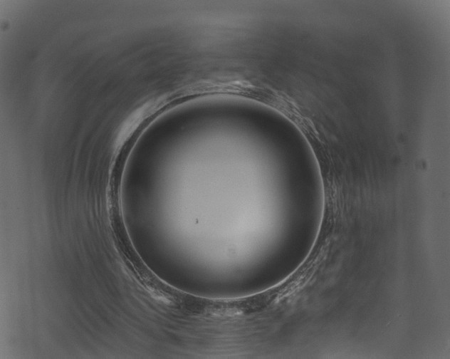 X0000074240340200608251144