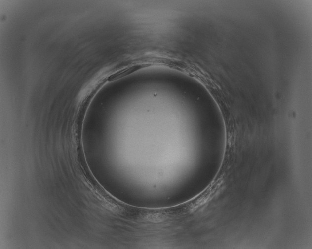 X0000074240341200608251144