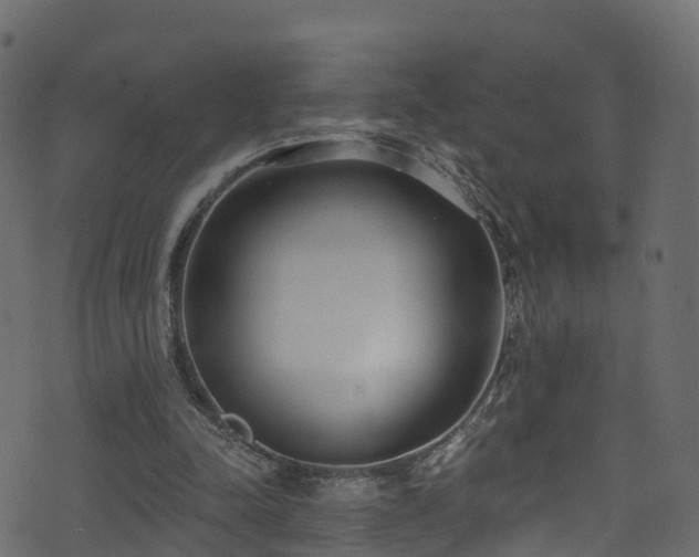 X0000074240342200608251144