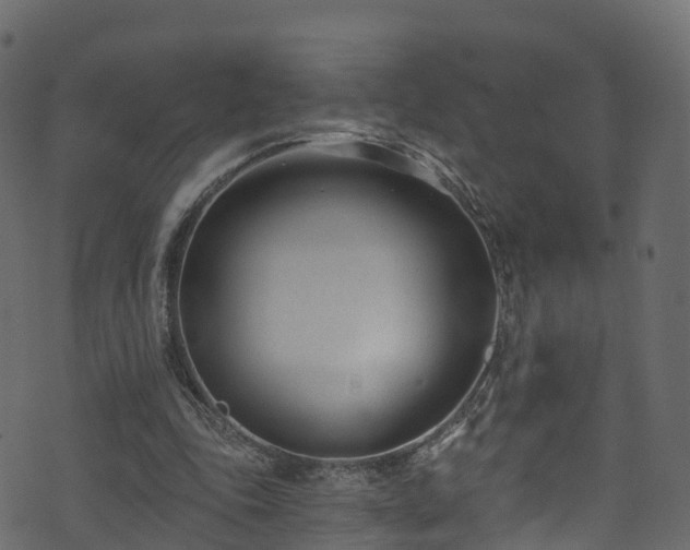 X0000074240343200608251144