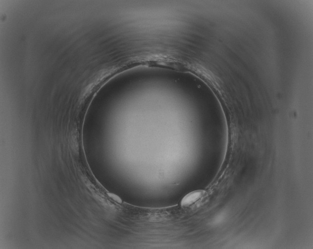 X0000074240345200608251144